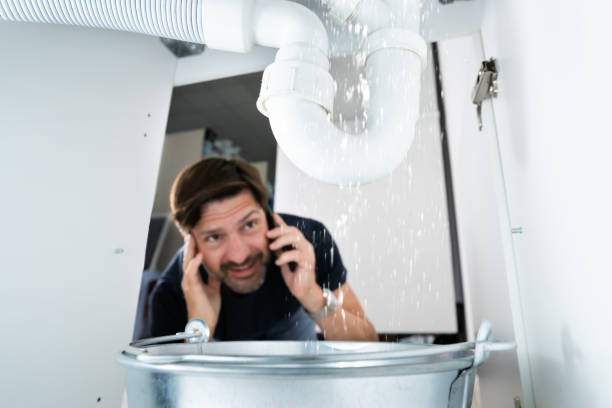 Best Local Plumber Services  in Fulton, MO